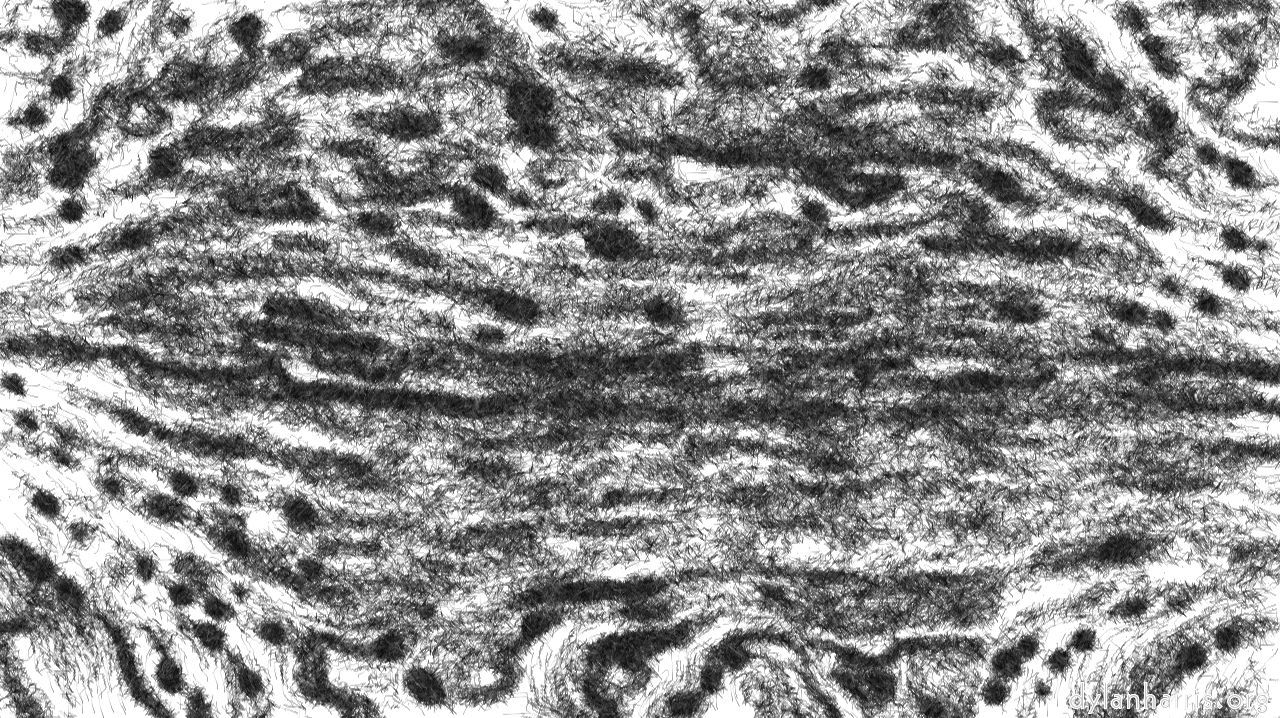 image: aaa tucker :: pencilscribblenegluminance