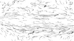 image: image from aaa tucker