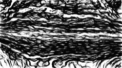 image: image from aaa tucker