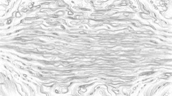 image: image from aaa tucker