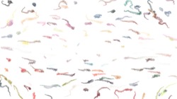 image: image from aaa tucker