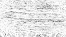 image: image from aaa tucker