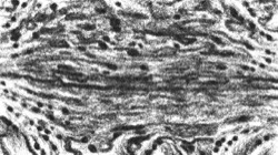 image: image from aaa tucker