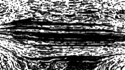 image: image from aaa tucker