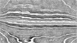 image: image from aaa tucker