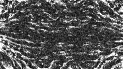 image: image from aaa tucker