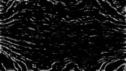 image: image from aaa tucker