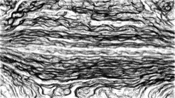 image: image from aaa tucker