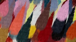 image: image from aaa tucker