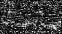 image: image from hj maxset 07