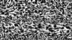 image: image from hj maxset 20