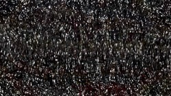 image: image from hj maxset 29