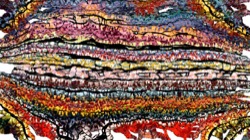 image: image from hj maxset 32