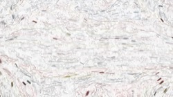 image: image from hj maxset 32