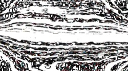 image: image from hj set 43 lightmax