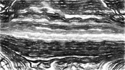 image: image from tablet demo 1