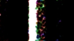 image: image from tilt brushes