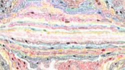 image: image from tilt examples