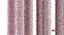 image: image from w artpen particle rotation