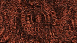 image: image from colourise