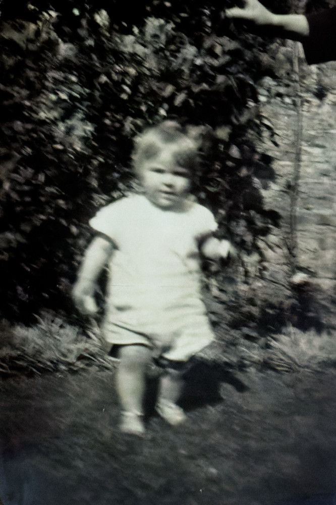 image: This is ‘Dinah’.