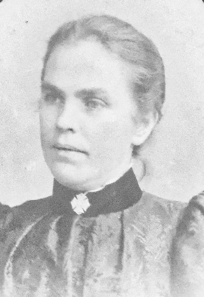 image: This is ‘Annie Price’.