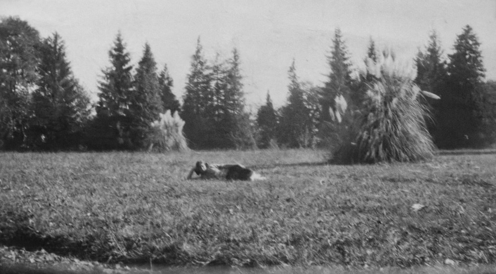 image: This is ‘Grace McIlroy’.